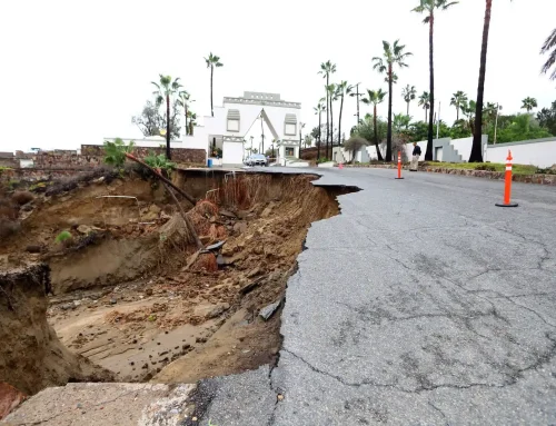 Ensenada después de la tormenta: ¿cómo avanza la recuperación?
